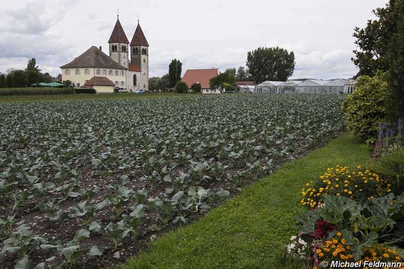 Gemüsefelder Reichenau