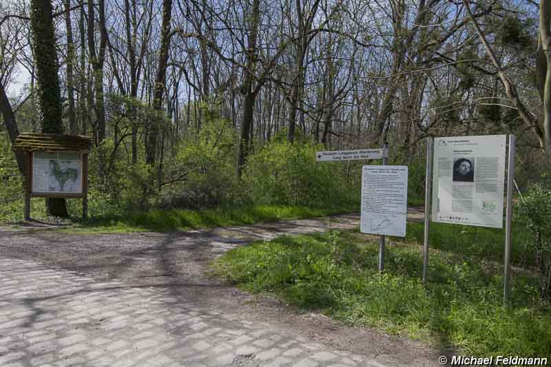Naturschutzgebiet Knoblochsaue