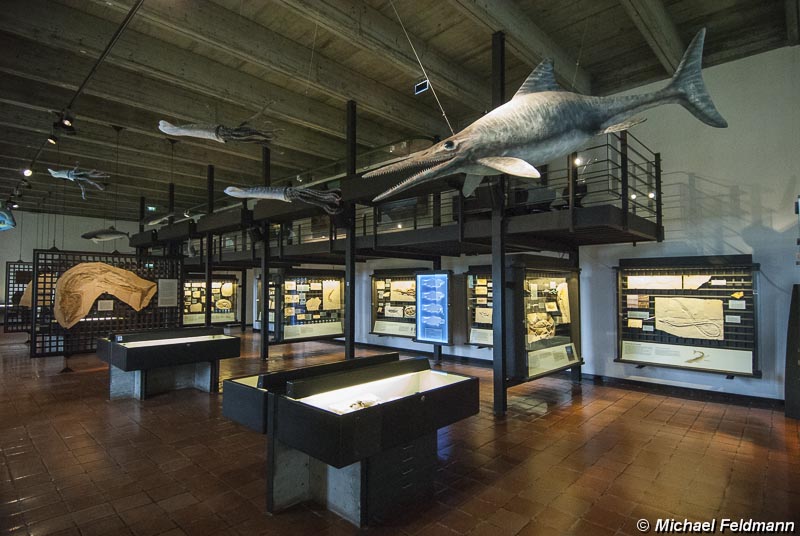 Eichstätt Juramuseum