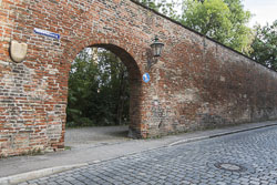 Karmelitenmauer mit Dohlenturm