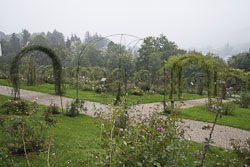 Rosenneuheitengarten Beutig in Baden-Baden