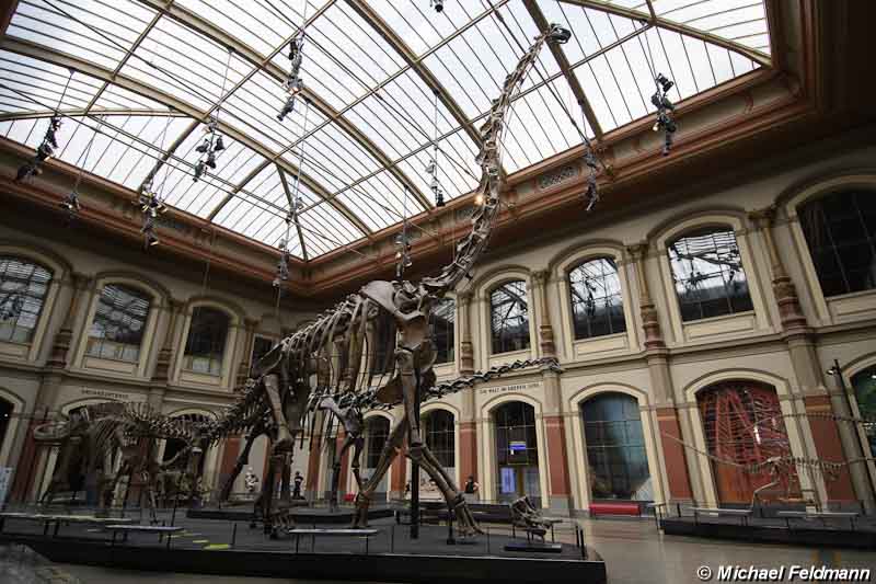 Naturkundemuseum Berlin