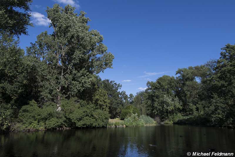 Großer Tiergarten