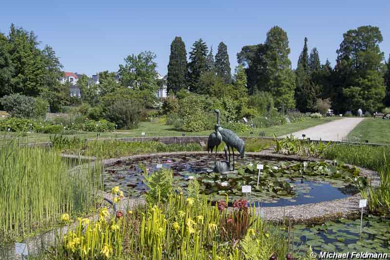 Botanische Gärten der Universität Bonn