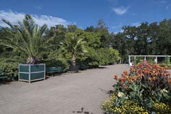 Bremen Rhododendron-Park