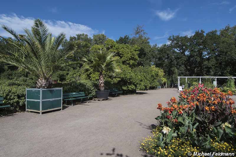 Bremen Rhododendron-Park