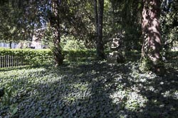 Grabmal der Landgräfin Caroline im Herrngarten