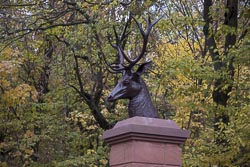 Hirschköpfe an der Fasaneriemauer