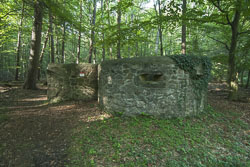 Jagdhistorischer Lehrpfad