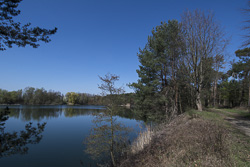 Naturschutzgebiet Kleewoog