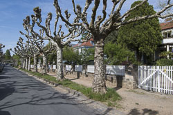 Darmstadt Paulusviertel