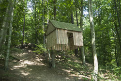 Waldkunstpfad Darmstadt