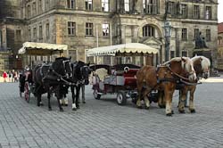 Stadtrundfahrten mit der Pferdekutsche