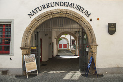 Naturkundemuseum in Erfurt