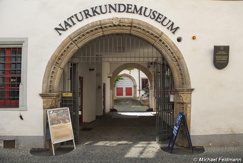 Naturkundemuseum in Erfurt