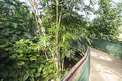 Essen Botanischer Garten