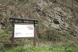 Naturdenkmal Sutan-Überschiebung in Essen
