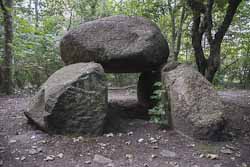 Albertsdorf Großsteingrab