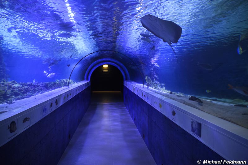 Burg auf Fehmarn Meereszentrum