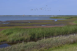 Nördliche Seeniederung Fehmarn