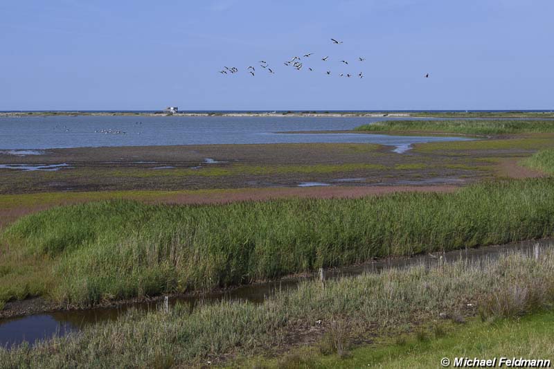 Nördliche Seeniederung Fehmarn