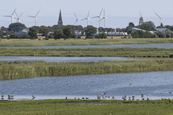 Naturschutzgebiet Wallnau