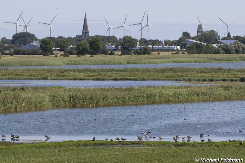 Naturschutzgebiet Wallnau