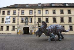 Fulda Vonderau-Museum