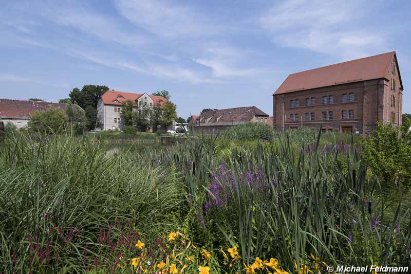 Kloster Helfta in Lutherstadt Eisleben