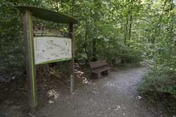 Bad Harzburg Baumwurzelpfad