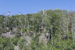 Bad Harzburg Burgberg-Seilbahn