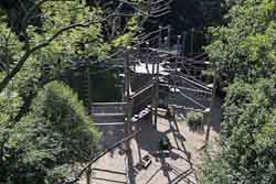 Bad Harzburg Hochseilpark