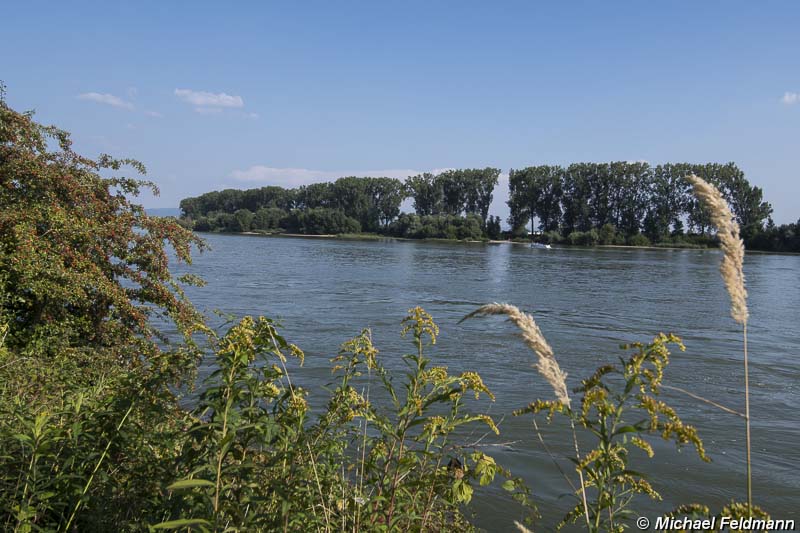Rheinufer in Biebesheim