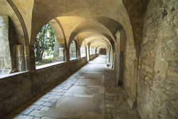 Hildesheim Dom Kreuzgang