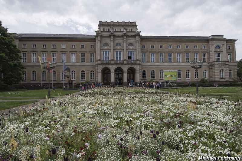 Karlsruhe Naturkundemuseum