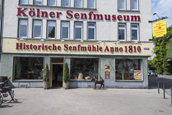 Senfmuseum
