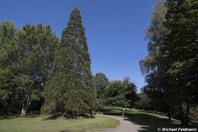 Bad Ems Bismarckhöhe