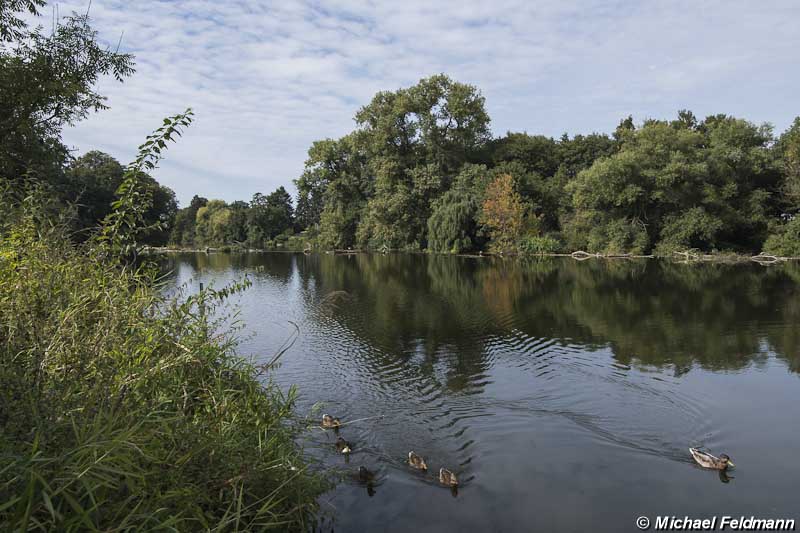 Limburg Lahninsel