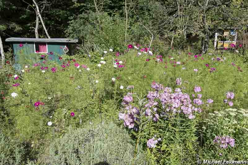 Wald-Hofcafe in Serrahn