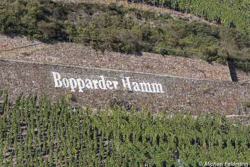 Bopparder Hamm