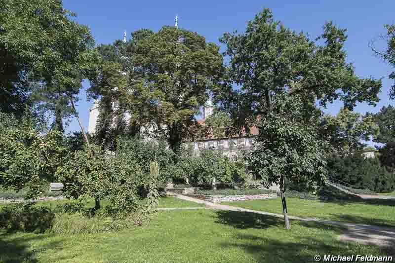 Naumburg Domgarten