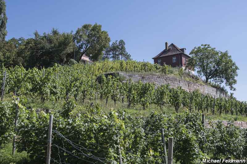 Naumburg Max-Klinger-Haus