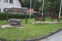 Bergwildpark Germerode