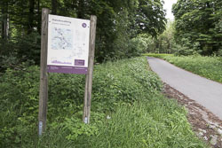 Fernwanderweg Habichtswaldsteig