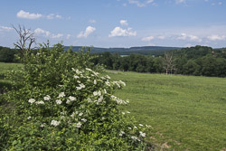 Naturpark Reinhardswald