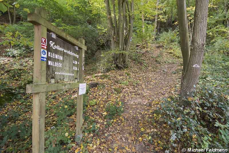 Wanderweg Kellerwaldsteig