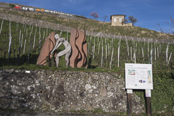 Weinanbaugebiet Hessische Bergstraße