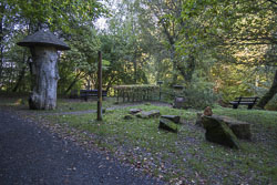 Stockheimer Eiche bei Michelstadt
