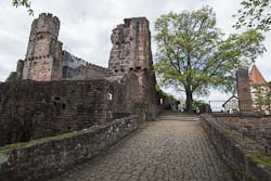 Burg Dilsberg
