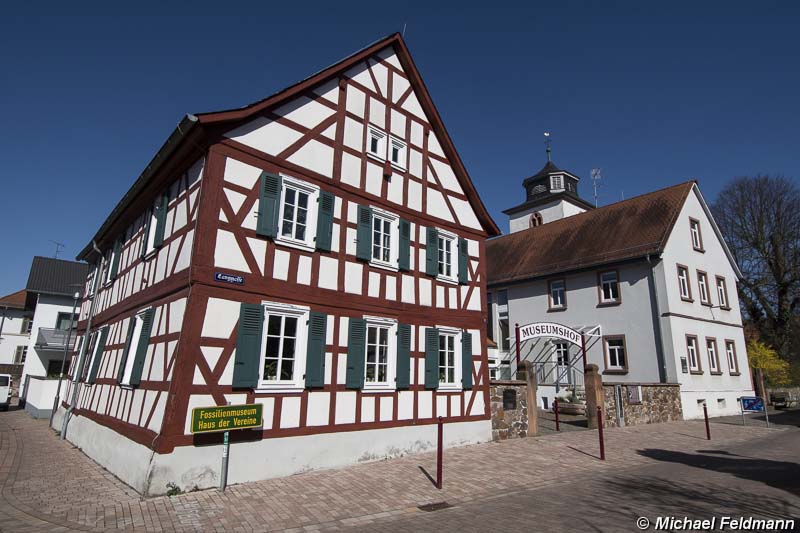 Messel Heimatmuseum